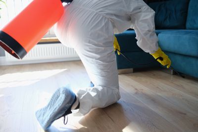 Spider Fumigation Service in San Jose, CA